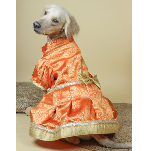 Pawgypets Luxe Brocade Dress Dogs and Cats (Orange)