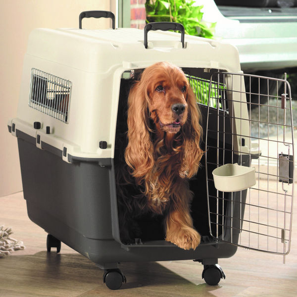Savic Andes 5 Carrier for Dogs and Cats (Ivory)