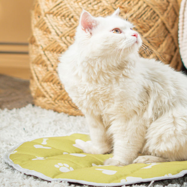 Pet Set Go Paws & Bones Heaven Mat for Cats (Green)