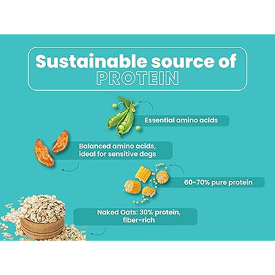 Bark Out Loud Naked Oats & Veggies, Veg Adult Dog Dry Food