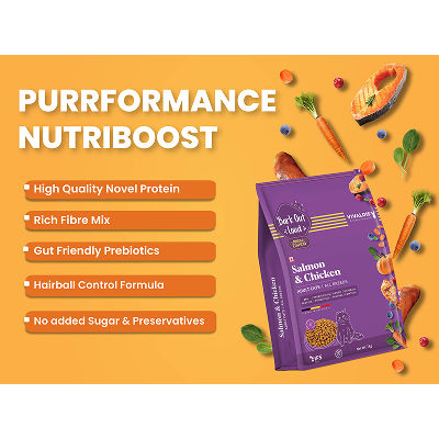 Bark Out Loud Salmon and Chicken Adult Cat Dry Food