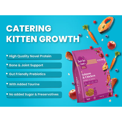 Bark Out Loud Salmon and Chicken Kitten Dry Food