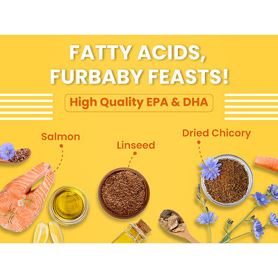 Bark Out Loud Salmon and Chicken Kitten Dry Food
