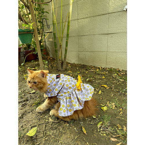 Pawgypets Smiley Daisy Dress for Cats (Lavender)