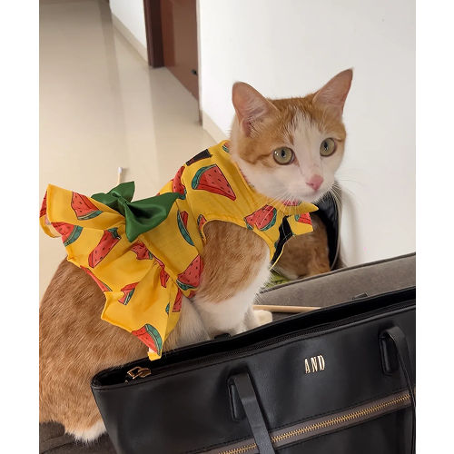 Pawgypets Watermelon Dress for Cats (Yellow)