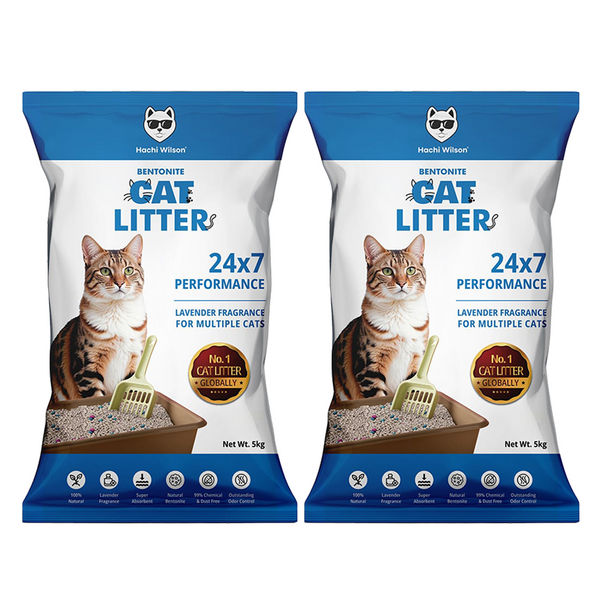 Hachi Wilson Scented Natural Bentonite White Sand Cat Litter