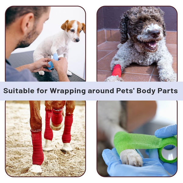 Talking Dog Club Self Adhesive Paws Wraps for Dogs (Orange)