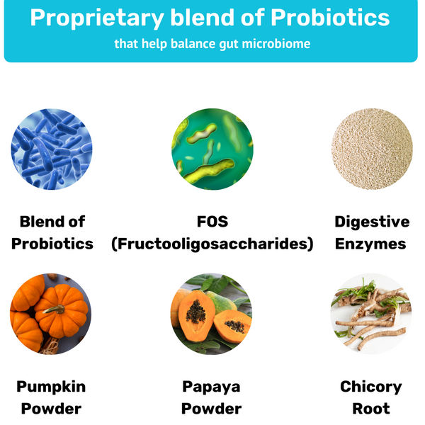 Absolut Pet Probiotics Gut Health Dog Supplement