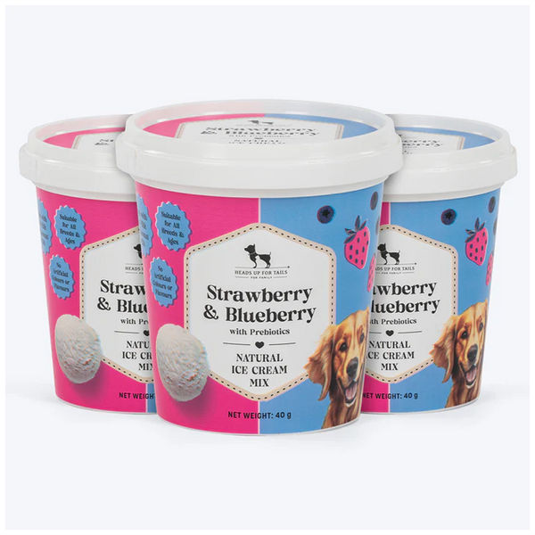 HUFT Strawberry & Blueberry with Prebiotics Ice Cream for Dogs