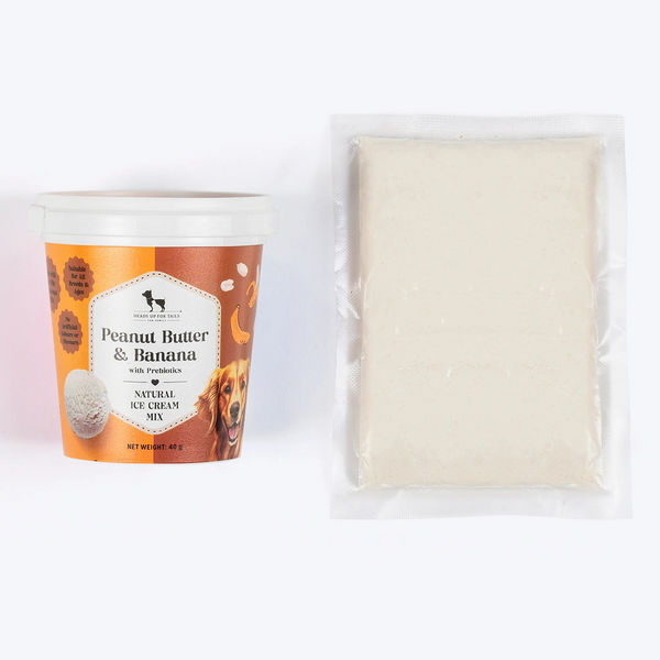 HUFT Peanut Butter & Banana with Prebiotics Natural Ice Cream for Dogs