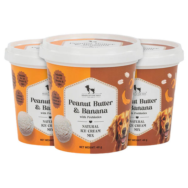 HUFT Peanut Butter & Banana with Prebiotics Natural Ice Cream for Dogs
