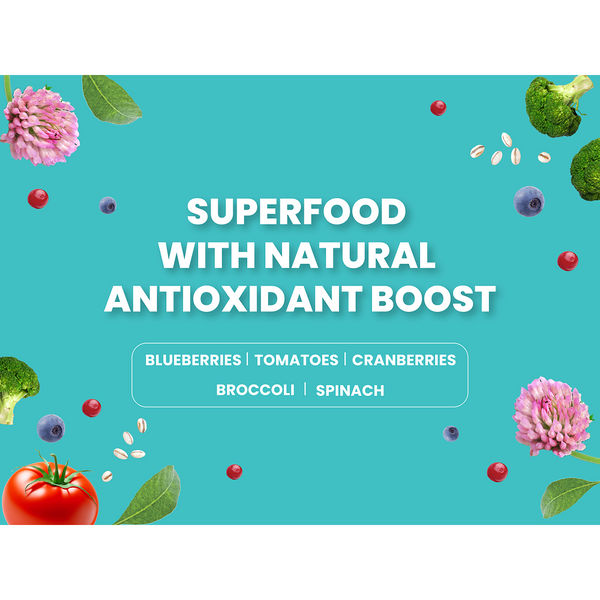 Bark Out Loud Salmon & Turkey Adult Dog Dry Food