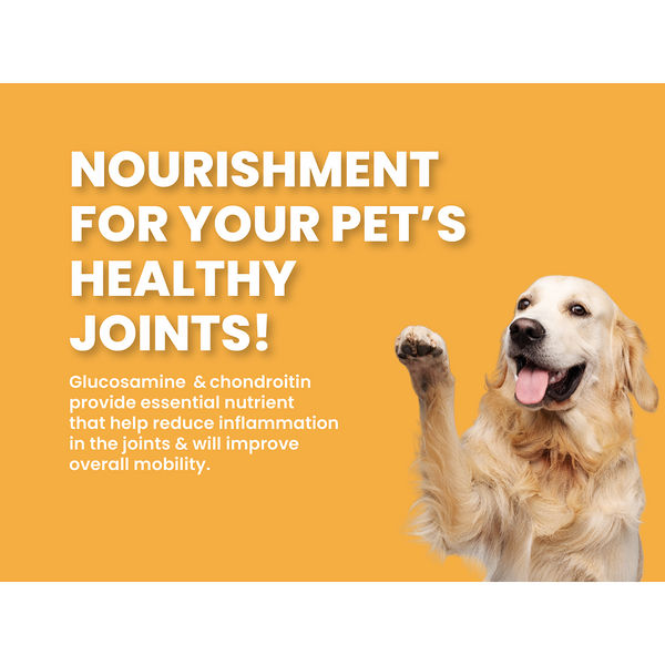 Bark Out Loud Salmon & Turkey Adult Dog Dry Food