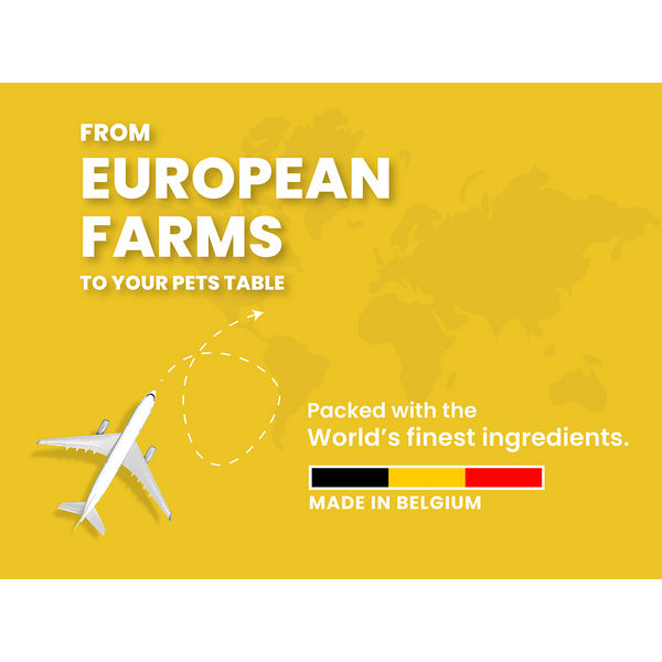 Bark Out Loud Salmon & Turkey Adult Dog Dry Food