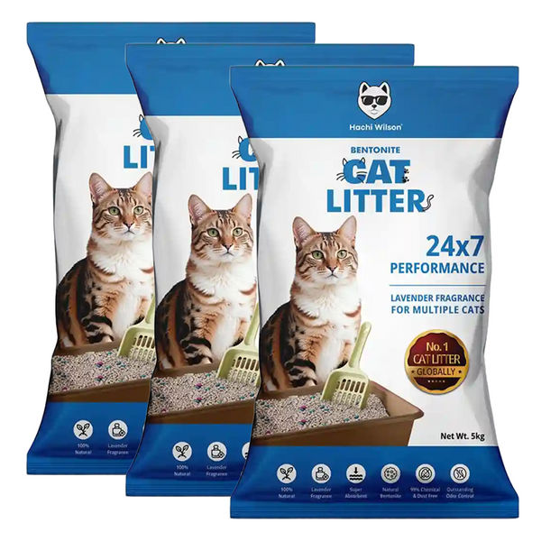 Hachi Wilson Scented Natural Bentonite White Sand Cat Litter