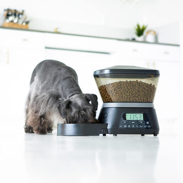 Pet Vogue Nano Automatic Food Dispenser for Dogs and Cats
