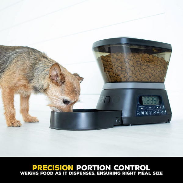 Pet Vogue Nano Automatic Food Dispenser for Dogs and Cats