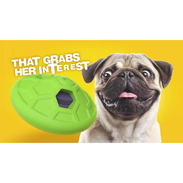 JW Natural Sound Rumbler Toy for Dogs (Green)