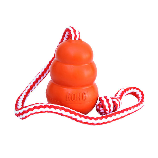 Kong Aqua Toy for Dogs (Orange)