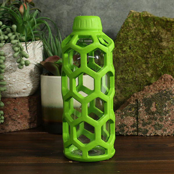 JW Holee Water Bottle Toy for Dogs (Green)