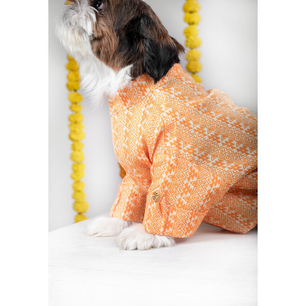 15 Furries Haldi Kurta for Dogs