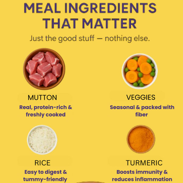 The Doggy Bakery Chicken, Mutton, Fish, Paneer and Veggies Home Meal Combo for Dogs