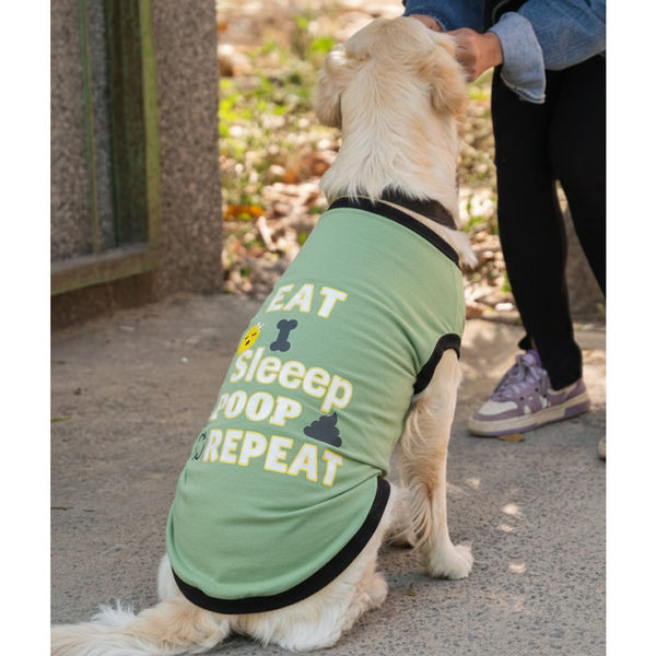 Pet Set Go Eat Sleep Poop Repeat T-shirt for  Dogs (Cyan)