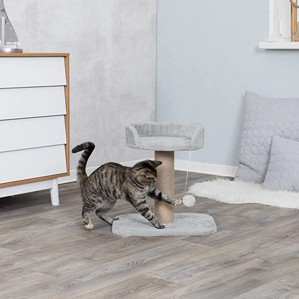 Furrlovers Jute Scratching Posts with Hanging Ball Activity Tree for Cats (Grey)
