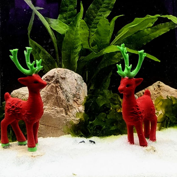 Splashy Fin White Sugar Sand for Aquarium