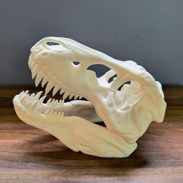Splashy Fin Trex Skull Miniature for Aquarium