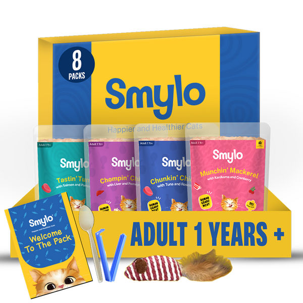 Smylo Adult Trial Box, Tuna, Chicken & Mackerel, Fresh & No-Preservative Wet Cat Food