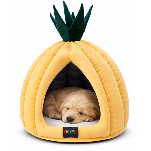 Skatrs Pineapple House for Small Dogs and Cats