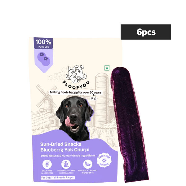 Floofyou Sun Dried Pure Veg Blueberry Yak Chew Bars Dental Dog Treats