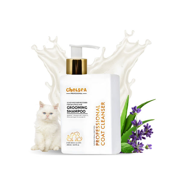 Dr. Chelsea&