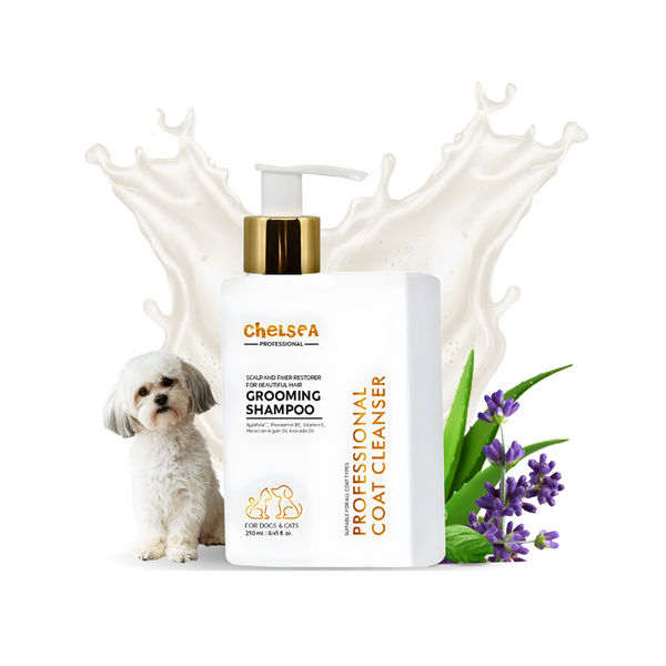 Dr. Chelsea&