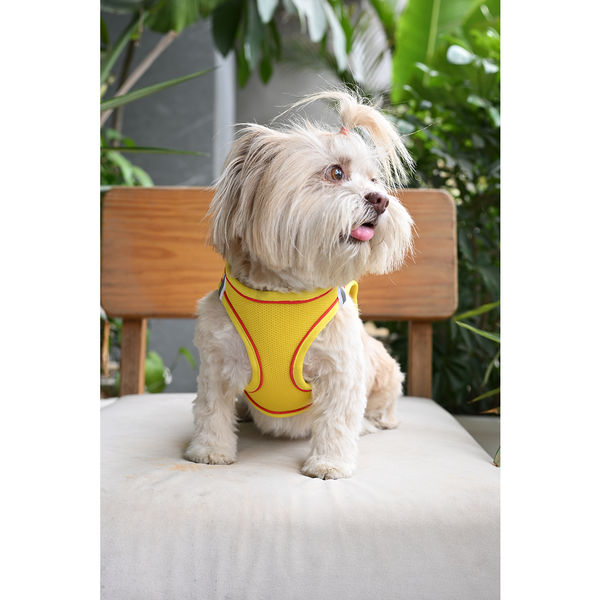 Pets Way Air Mesh Harness for Puppies & Small Dogs (Yellow)
