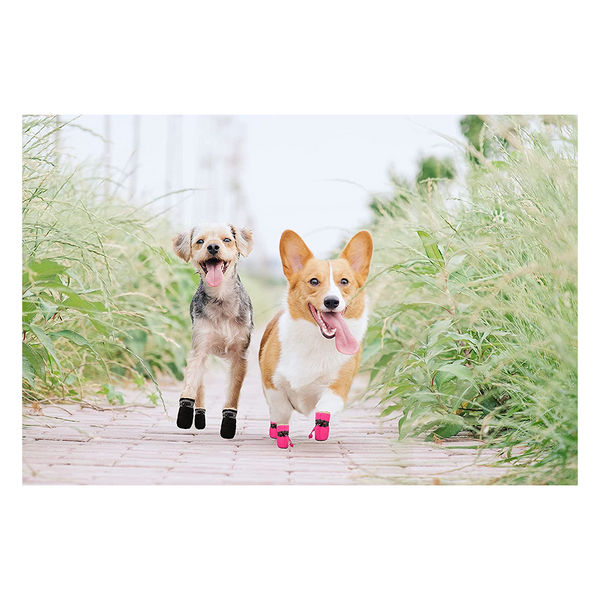 KUTKUT Boots for Dogs (Black)