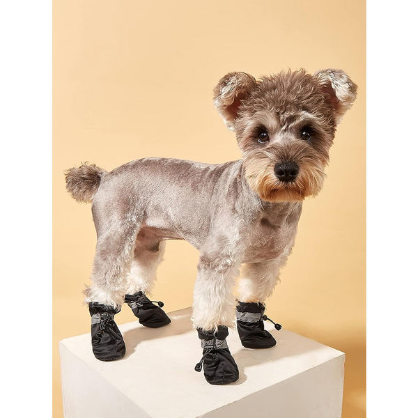 KUTKUT Boots for Dogs (Black)