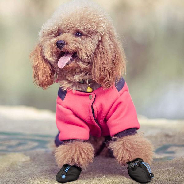 KUTKUT Boots for Dogs (Black)