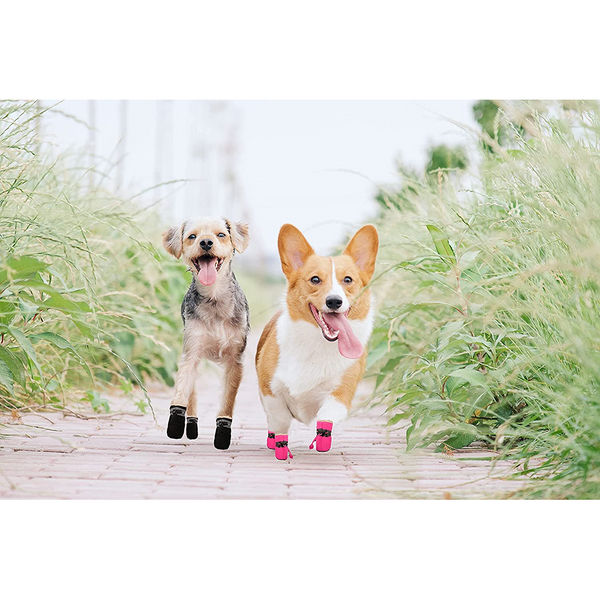 KUTKUT Paw Protector Boots for Small Dogs (Black)