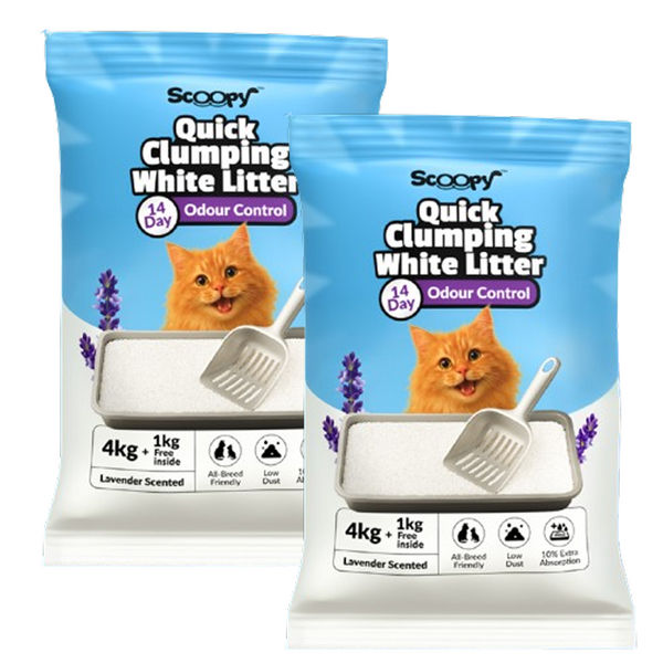 Scoopy Cat Litter | Lavender Scented | Quick Clumping | 100% Natural Bentonite White Sand (Buy 1 Get 1)