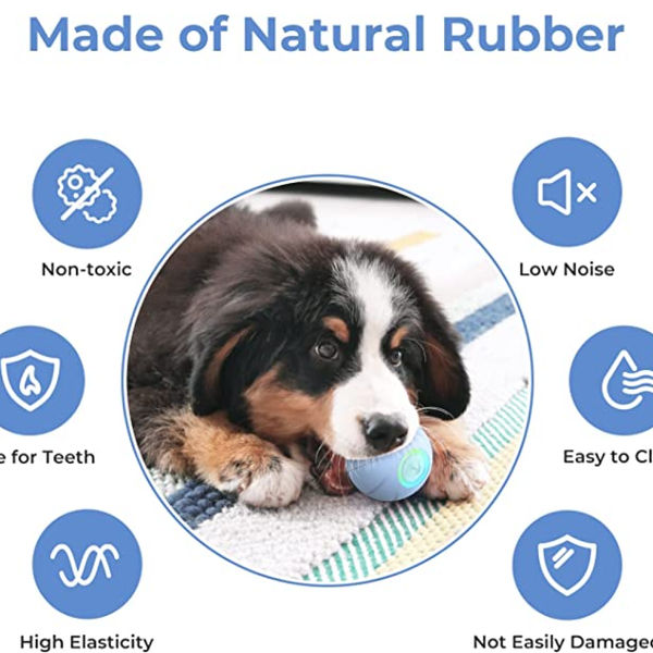 Cheerble Wicked SE Ball Toy for Dogs | For Medium Chewers (Blue)