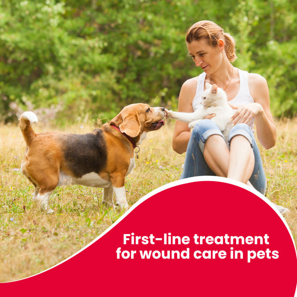 Beaphar Povidone Iodine Wound Healing Spray for Dogs and Cats