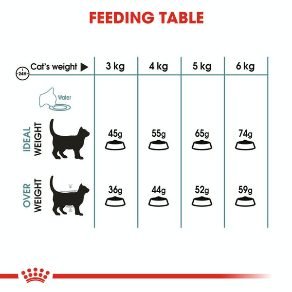 Royal Canin Hairball Care Food for Adult Cat Dry Food