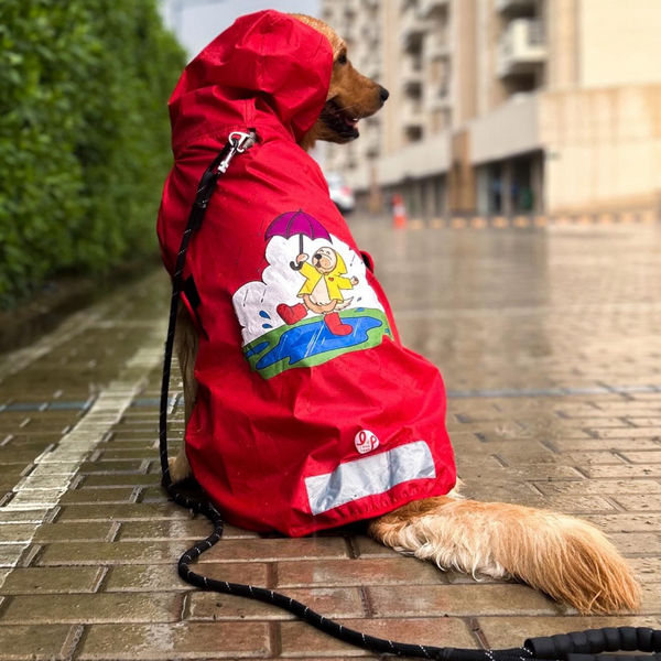Just Wanna Have Fun Printed Raincoat for Dogs by Lana Paws (Red)
