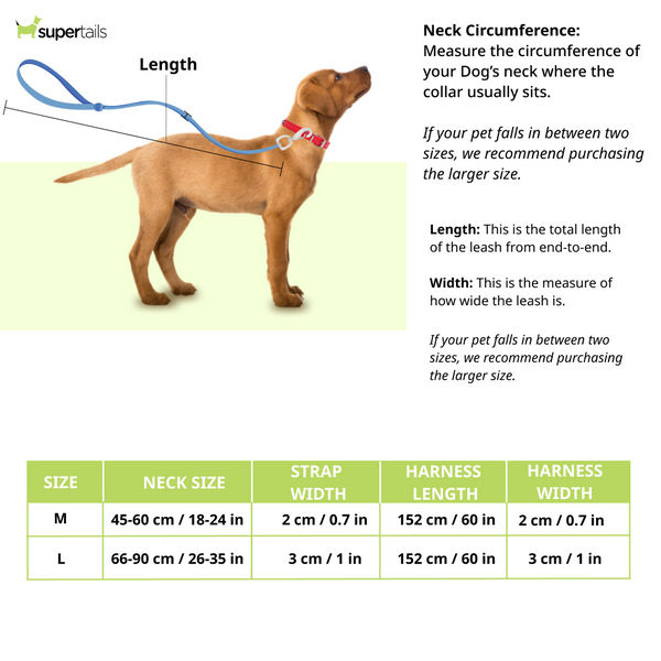 Chullbull Pet Products Harness and Leash for Dogs (Black)