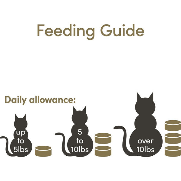 Applaws Tuna Fillet Tinned Cat Wet Food (156g)