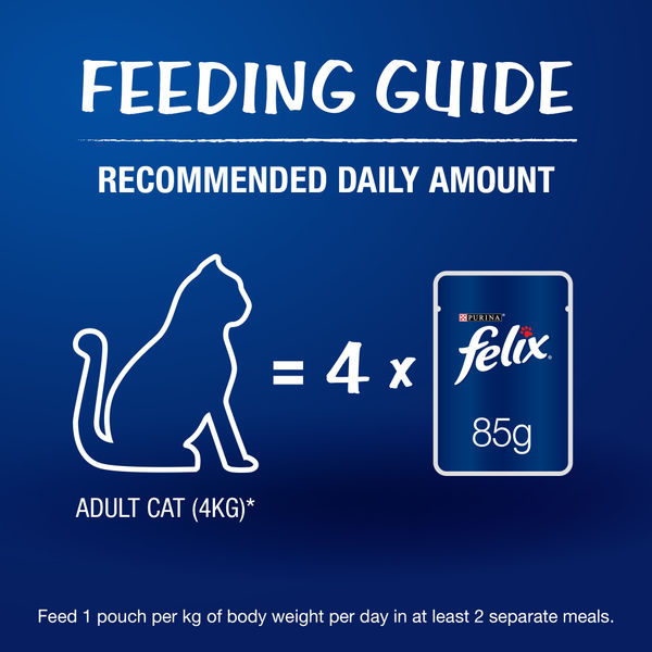Purina Felix with Mackerel, Sardine and Salmon in Jelly Complete and Balanced Adult Cat Wet Food