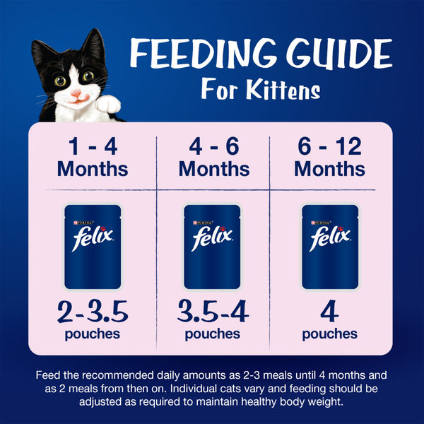Friskies Kitten Cat Dry Food and Purina Felix Tuna with Jelly Kitten Wet Food Combo