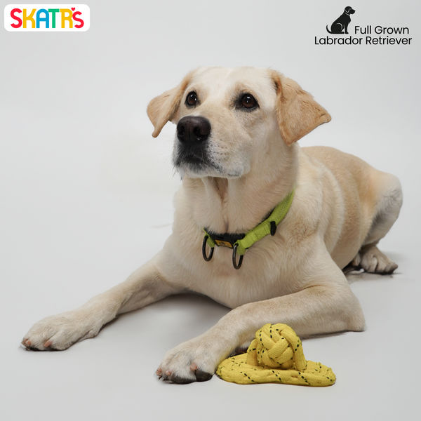 Skatrs Sandal Shaped Hand Made, Durable Rope Chew Toy for Dogs & Cats (Light Yellow)